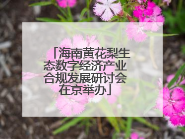 海南黄花梨生态数字经济产业合规发展研讨会在京举办